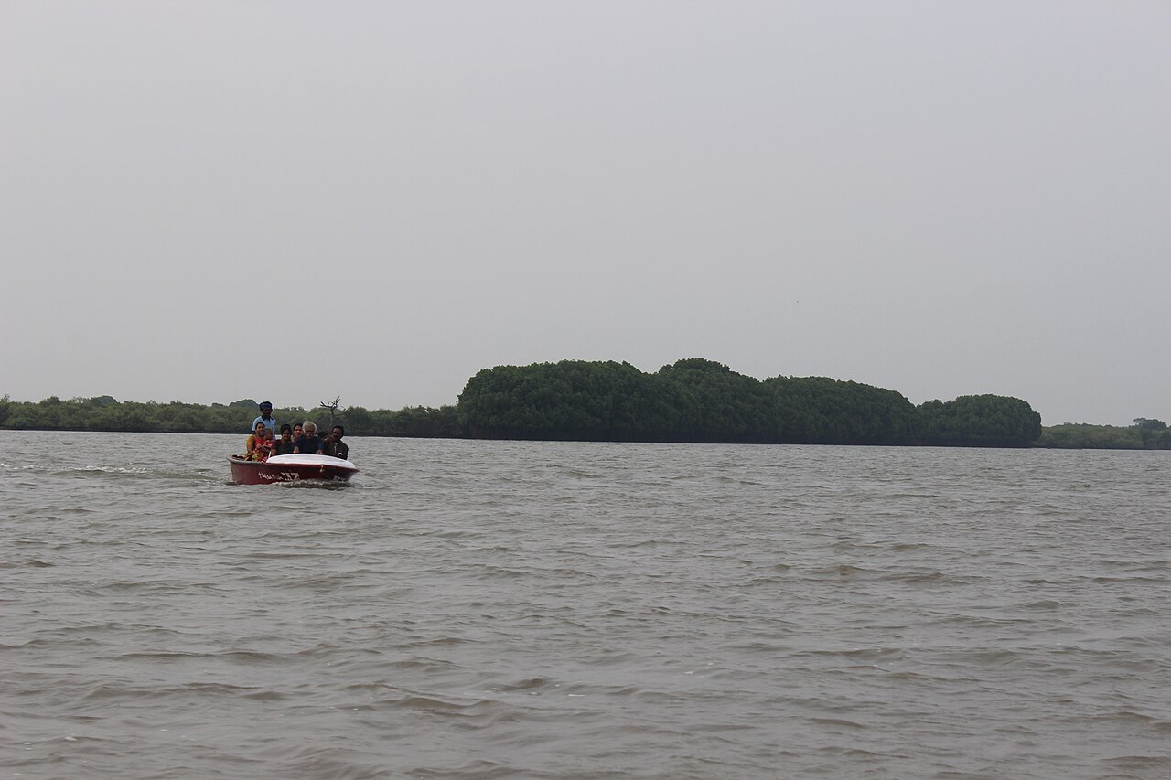 Pichavaram Mangrove Forest Boating