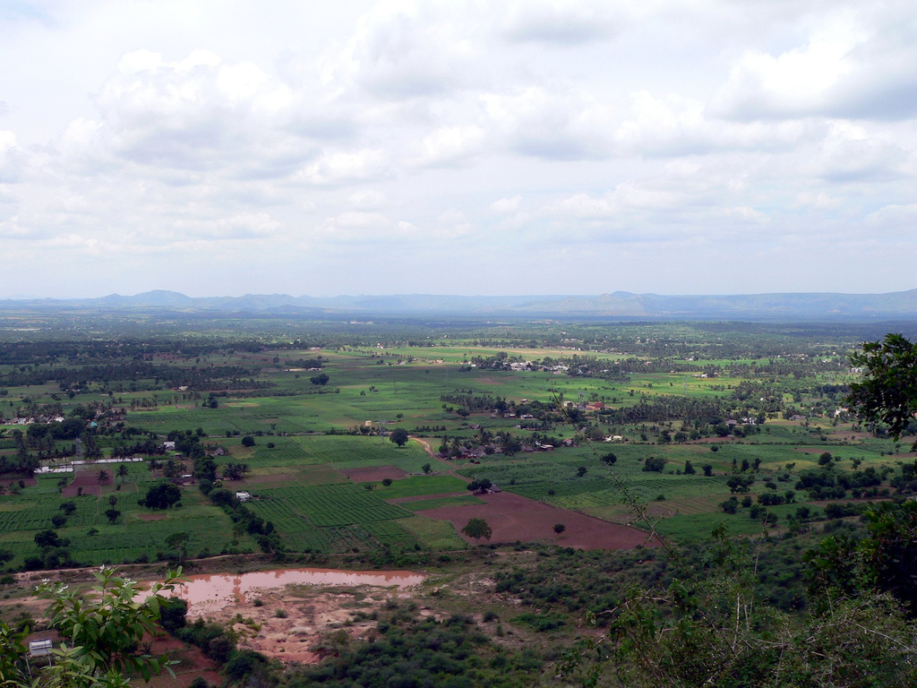 Yelagiri green hill valley